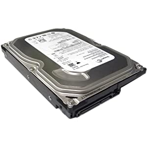 Hard Disk Seagate ST3250310AS 250GB SATA HDD Used A