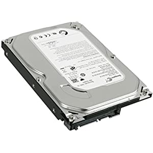 Seagate Hard Disk ST3250310AS SATA 250GB 3.5 INCH HDD Used A