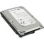 Seagate Hard Disk ST3250310AS SATA 250GB 3.5 INCH HDD Used A