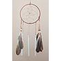 Living 66 GmbH New 40cm Hanging Dark Feather decorations 16cm