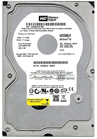 Western Digital WD2500JS Hard Disk 250GB HDD SATA Used