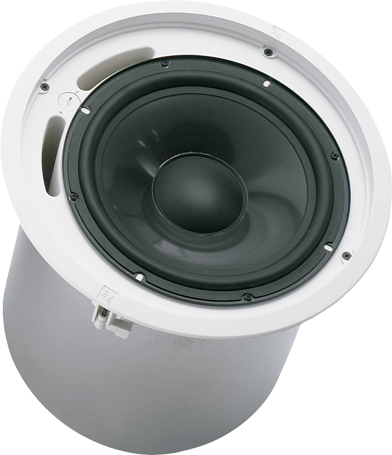 Profesional Ceiling Mount Subwoofer